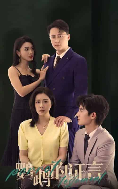 鹦鹉的证言(45集)刘辰锦&章滢-搜外项目网