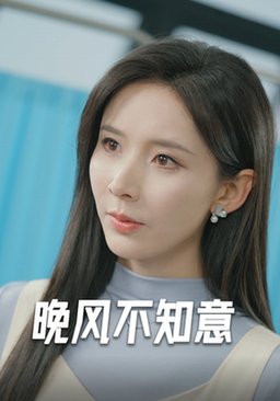 晚风不知意（31集全）丁晓-搜外项目网