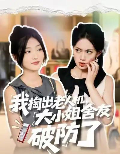 我掏出老人机,大小姐舍友破防了(66集全)牛静捷&杨震-搜外项目网