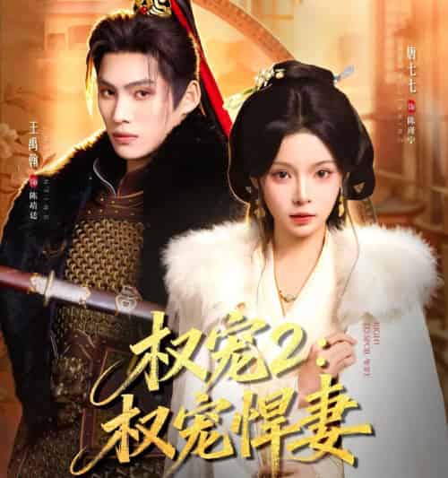 权宠2:权宠悍妻&权宠2权宠悍妻(81集全)王禹翰&唐七七-搜外项目网