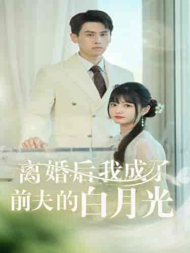 离婚后我成了前夫的白月光(58集)王寒阳-搜外项目网
