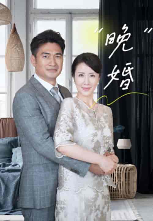 晚婚（65集全）刘美希-搜外项目网