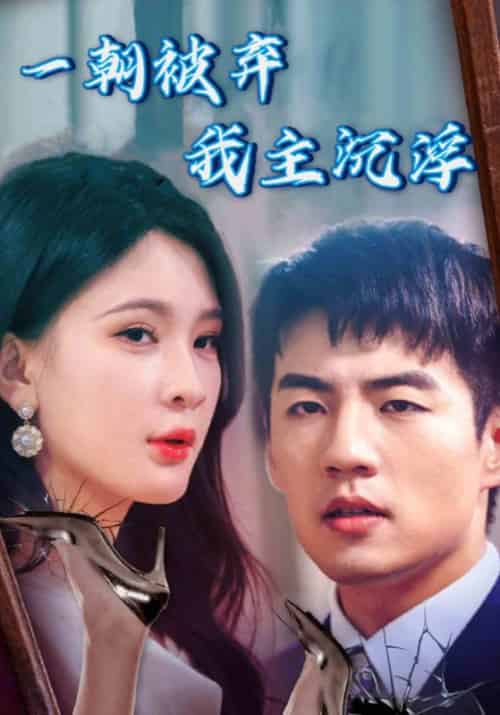 一朝被弃我主沉浮（80集全）陆沉＆叶知秋-搜外项目网