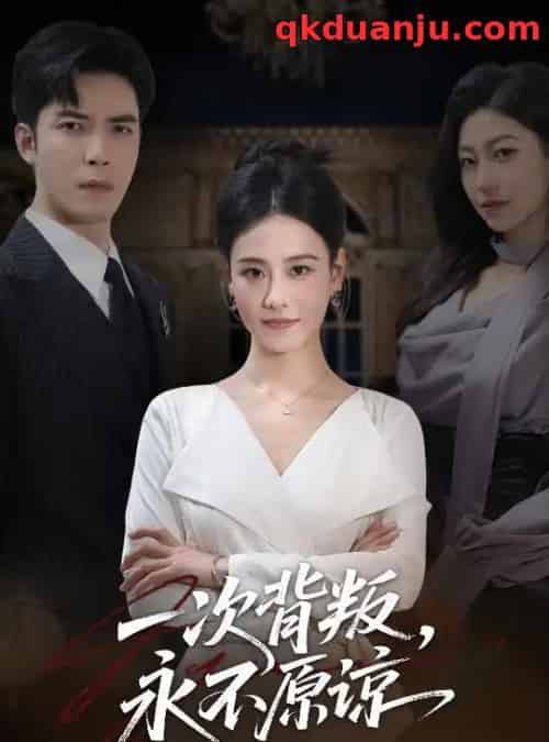 一次背叛，永不原谅（60集全）王艳秋＆李浩-搜外项目网