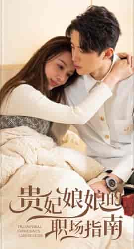 贵妃娘娘的职场指南(80集)盛以婕-搜外项目网