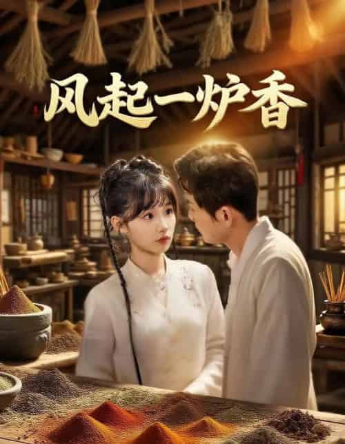 风起一炉香（72集）何泊远＆贾翼瑄-搜外项目网