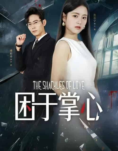 困于掌心（68集全）左馨＆罗鹏-搜外项目网