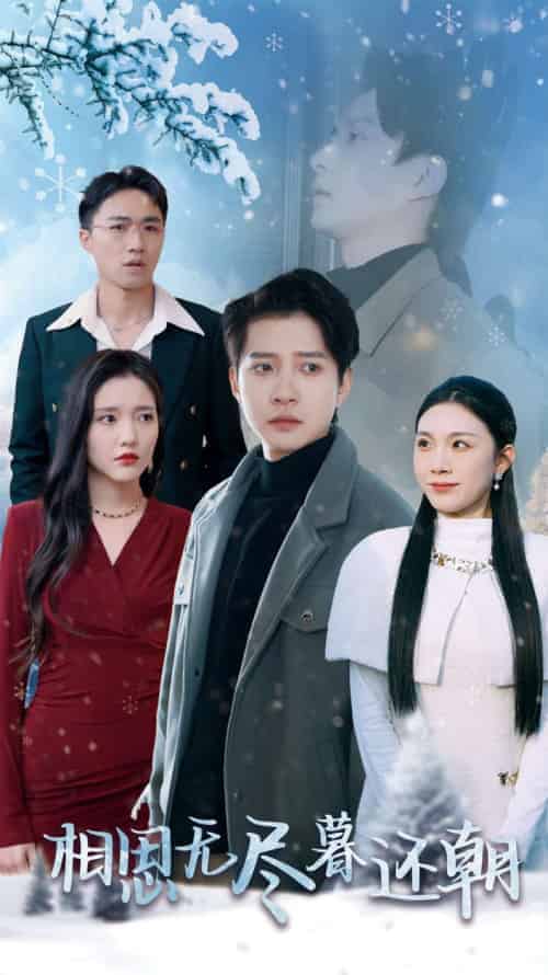 相思无尽暮还朝（30集全）白羽-搜外项目网