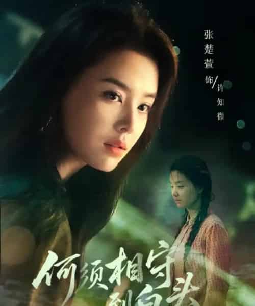 何须相守到白头（77集全）傅汉源＆张楚萱-搜外项目网