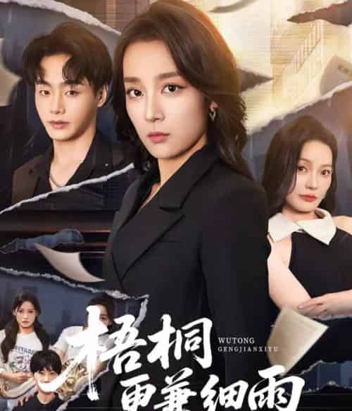 梧桐更兼细雨（52集）张婉琳-搜外项目网