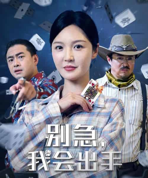 别急我会出手（50集）王冠程＆李明-搜外项目网