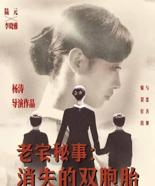 老宅秘事消失的双胞胎＆消失的孩子（90集）陆元-搜外项目网