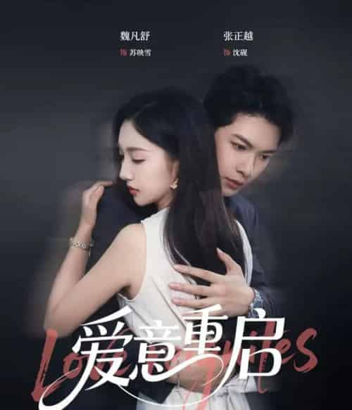 心跳漏拍&爱意重启(57集)张正越&魏凡舒-搜外项目网