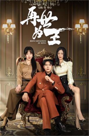 再世为王（101集）-搜外项目网
