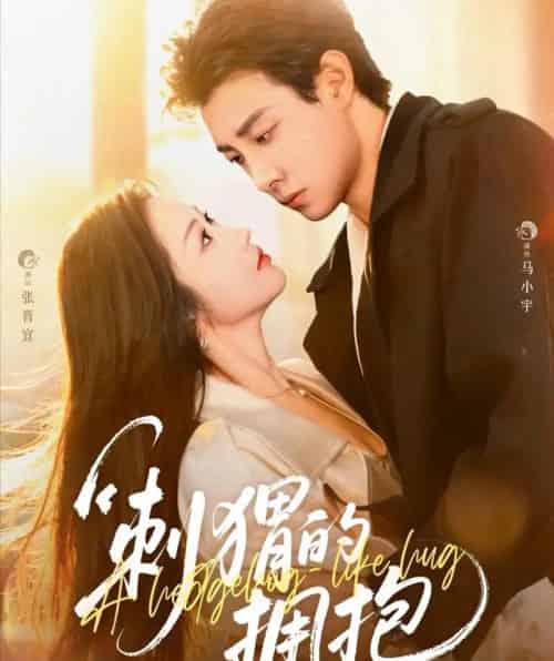 刺猬的拥抱（71集全）马小宇＆张晋宜-搜外项目网