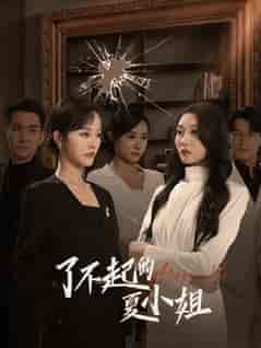 了不起的夏小姐(45集全)李胜楠&王已歌-搜外项目网