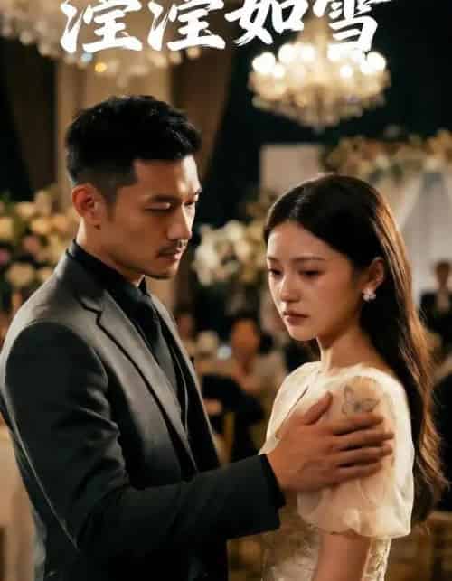 滢滢如雪（27集全）Ai-搜外项目网