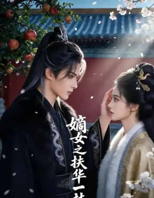 嫡女之扶华一梦（71集全）AI-搜外项目网