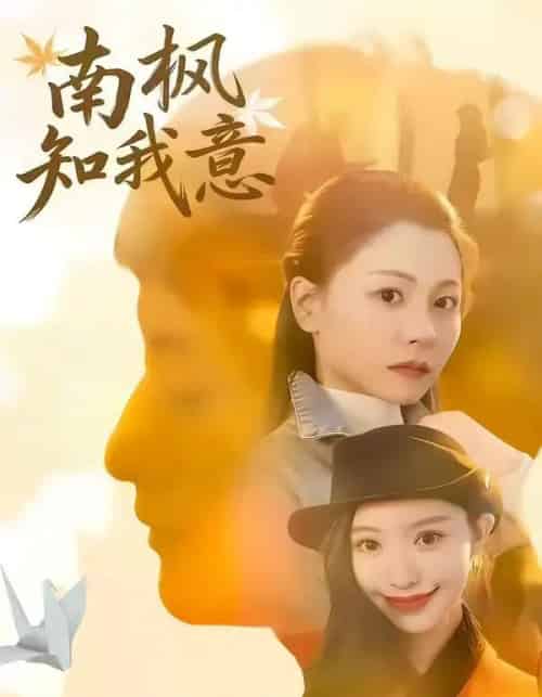 南枫知我意（41集全）徐梦瑶＆黄跃峰-搜外项目网