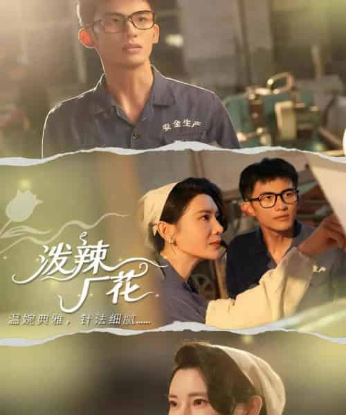 泼辣厂花（68集全）黄怀霆＆陈芊淇-搜外项目网