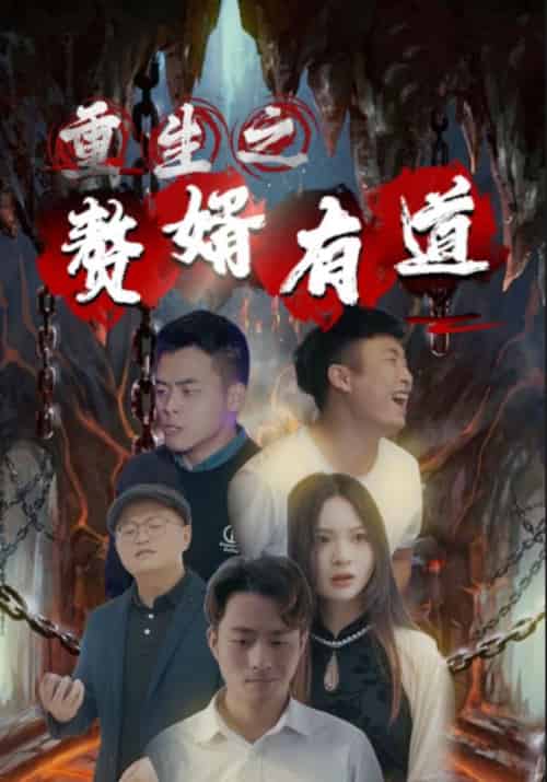 重生之赘婿有道（123集全）张天豹＆冰冰-搜外项目网