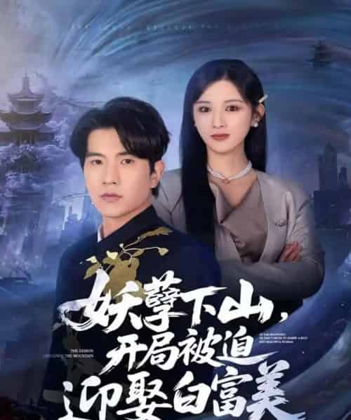 妖孽下山，开局被迫迎娶白富美（81集全）李致逸＆赵慧-搜外项目网