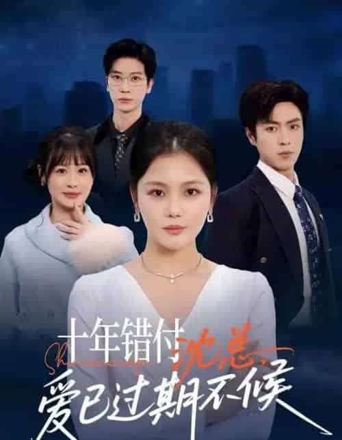 十年错付:沈总,爱已过期不候(51集全)向云茜&赵赫为&三七-搜外项目网
