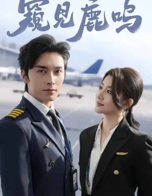 窥见鹿鸣(60集全)王博&王如玮-搜外项目网