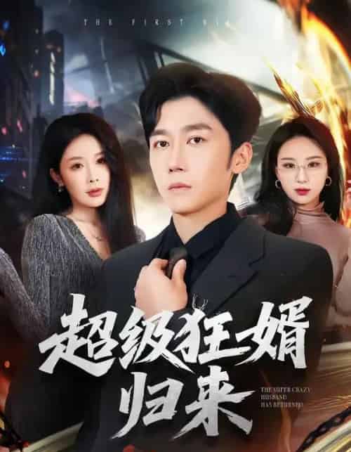 超级狂婿归来（81集全）杨景景＆彭剑雄-搜外项目网