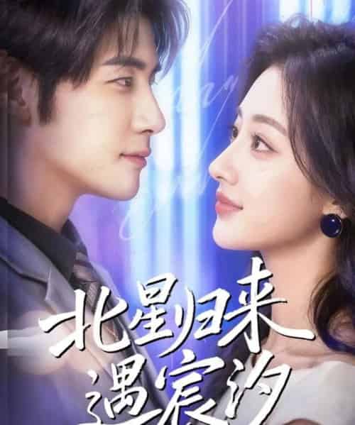 北星归来遇宸汐(60集全)苏畅&潼彤-搜外项目网