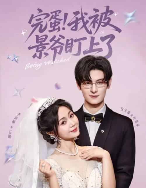 完蛋我被景爷盯上了（62集）区天瑞＆李雨桐-搜外项目网