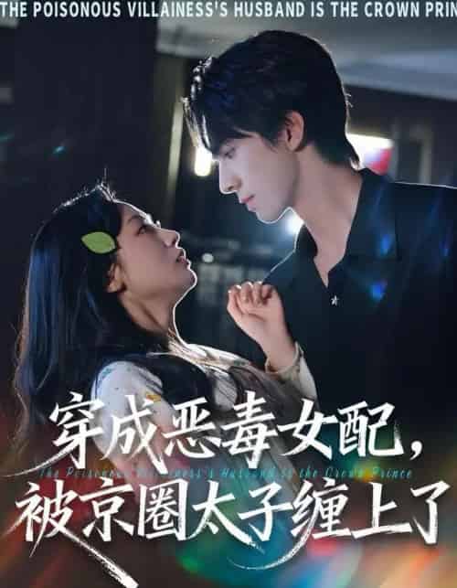 穿成恶毒女配，被京圈太子缠上了（56集全）冯文栋＆孙懿飞-搜外项目网