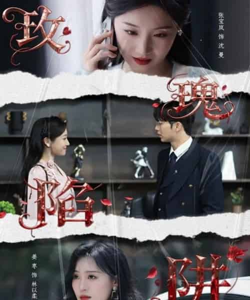 玫瑰陷阱(40集全)陈瑞&张宝岚-搜外项目网