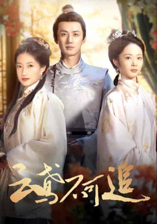 云鸢不可追（42集全）陈政阳＆兰岚-搜外项目网