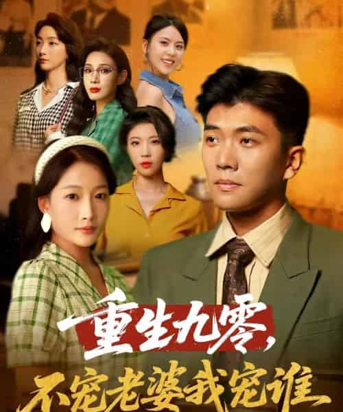 重生九零不宠老婆我宠谁(71集)孙钰哲&杨添羽-搜外项目网