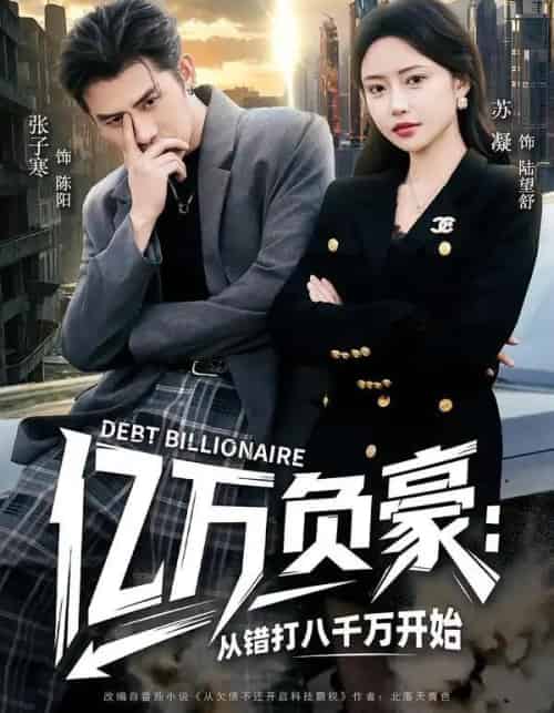 亿万负豪:从错打八千万开始(71集全)张子寒&苏凝-搜外项目网