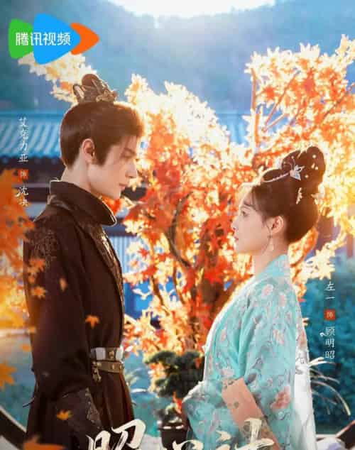 昭心计（59集全）艾克力亚＆左一-搜外项目网