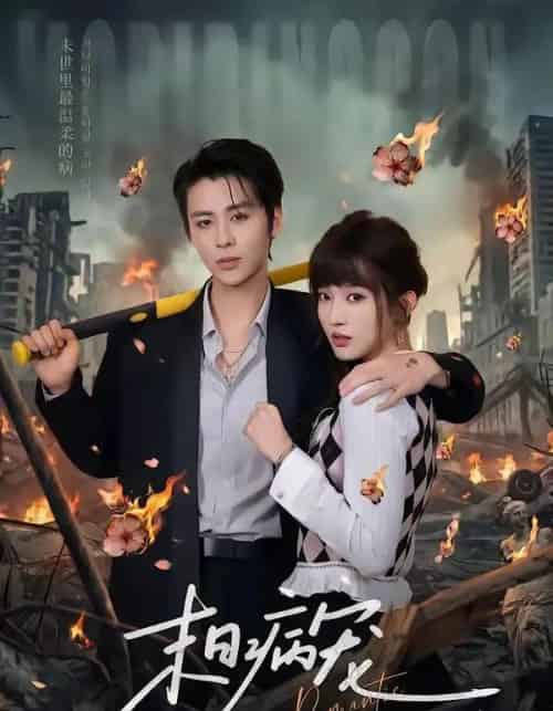 末日病宠（60集全）纪俊良＆戚羽佳-搜外项目网