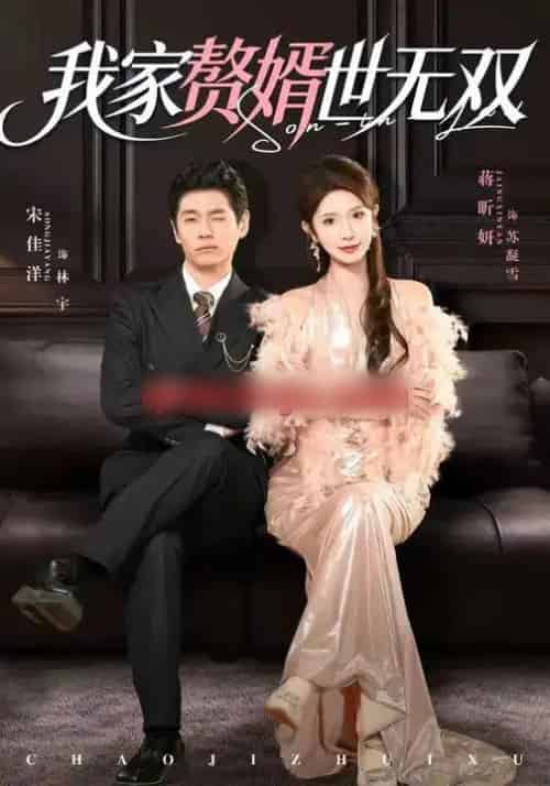 我家赘婿世无双(73集全)宋佳洋&蒋昕妍-搜外项目网