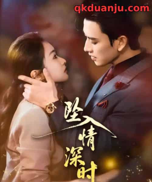 坠入情深时（82集全）崔十一＆钢铁肉肉（李磊）-搜外项目网