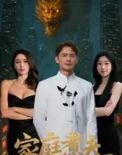 家庭煮夫(65集全)王勉&张沐池-搜外项目网