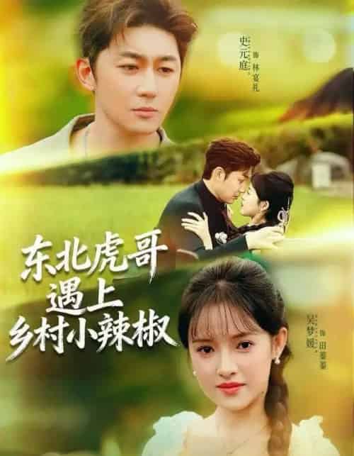 东北虎哥遇上乡村小辣椒(67集全)史元庭&吴梦媛-搜外项目网