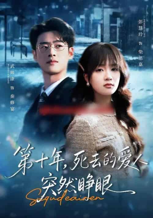 第十年,死去的爱人突然睁眼(62集全)武帅康&彭慧玲-搜外项目网