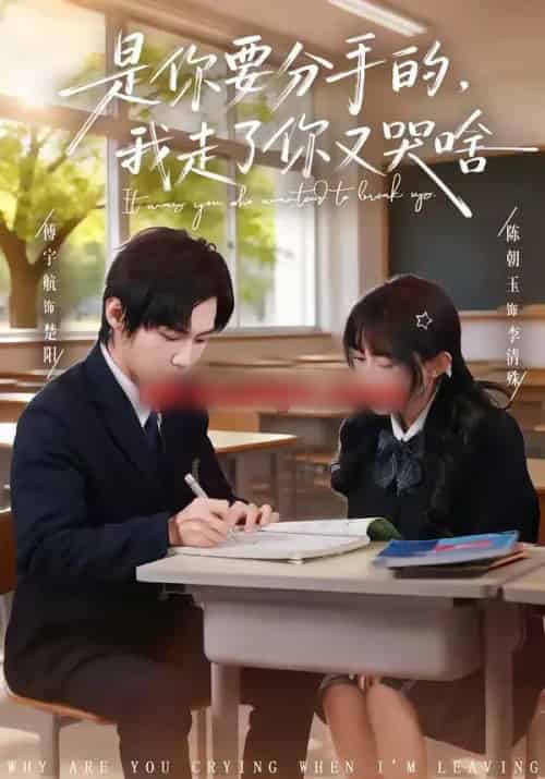 是你要分手的，我走了你又哭啥（83集全）傅宇航＆陈朝玉-搜外项目网