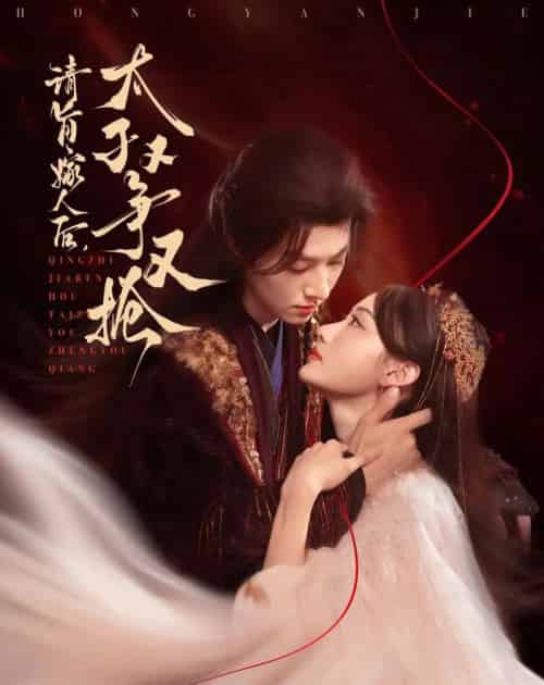 请旨嫁人后太子又争又抢（65集）李景泽＆曹赛亚-搜外项目网