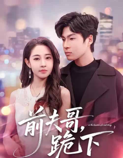 前夫哥,跪下(58集全)米乐妮&鲁文涵-搜外项目网