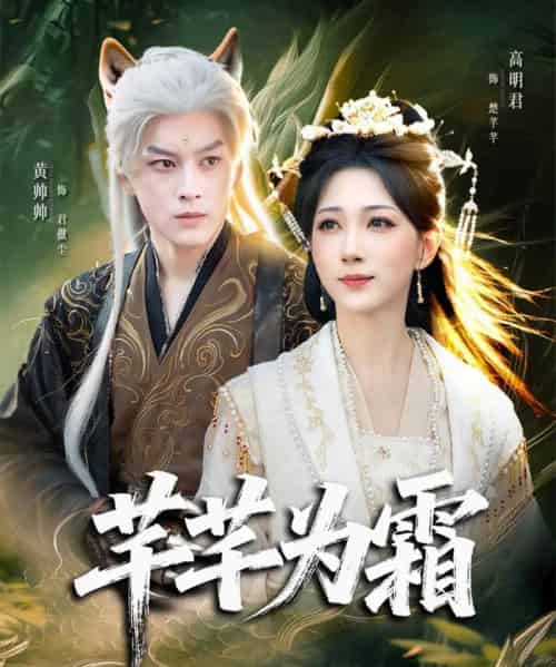 芊芊为霜（80集全）黄帅帅＆高明君-搜外项目网