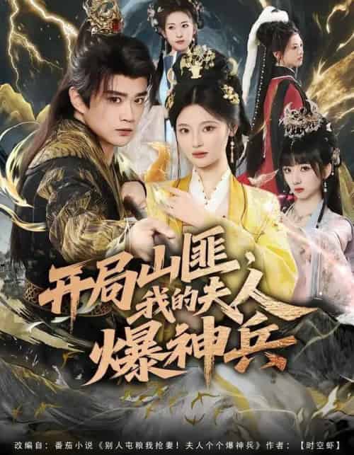 开局山匪，我的夫人爆神兵（80集全）李旭东＆白素素-搜外项目网