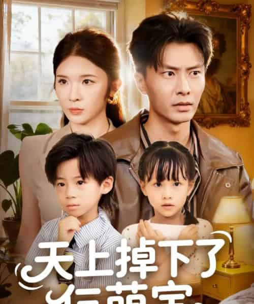 天上掉下了仨萌宝（80集全）王子青＆赵德昊-搜外项目网