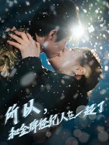 所以和金牌经纪人在一起了（30集全）杨鹏丞＆锡日苏伦雅-搜外项目网